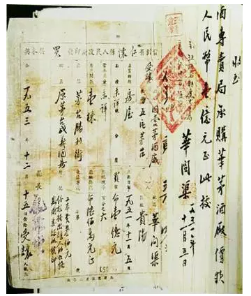 19511952꣬xs͡dҟϲP(gun)n